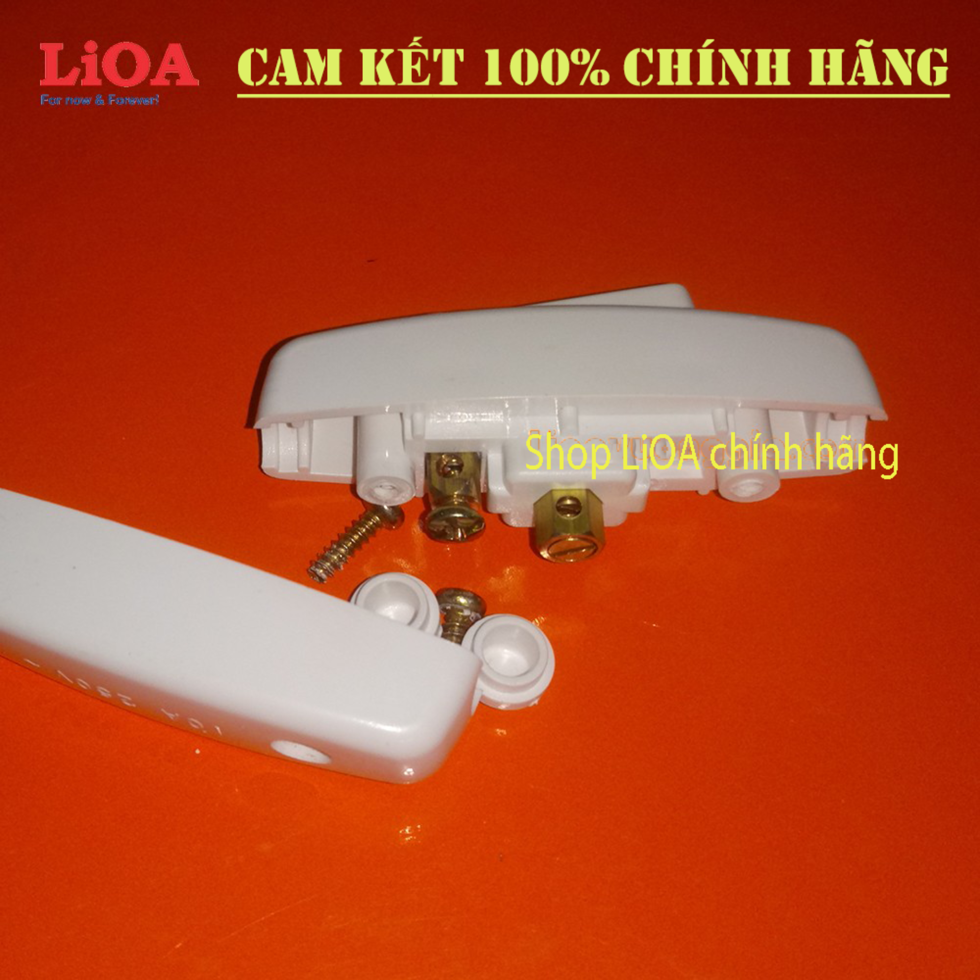 Công Tắc Qủa Nhót LiOA 10A-250V
