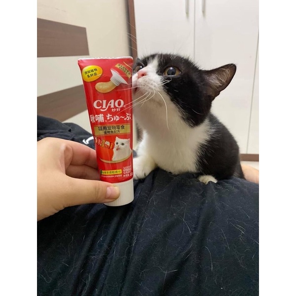Súp Thưởng Cho Mèo Ciao Churu Tuýp 80g - [Nông Trại Thú Cưng]