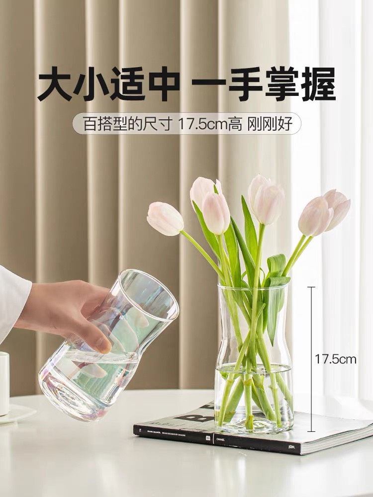 (giá dùng thử) Lọ hoa thủy tinh Daisy - Phong Cách Bắc Âu đơn giản