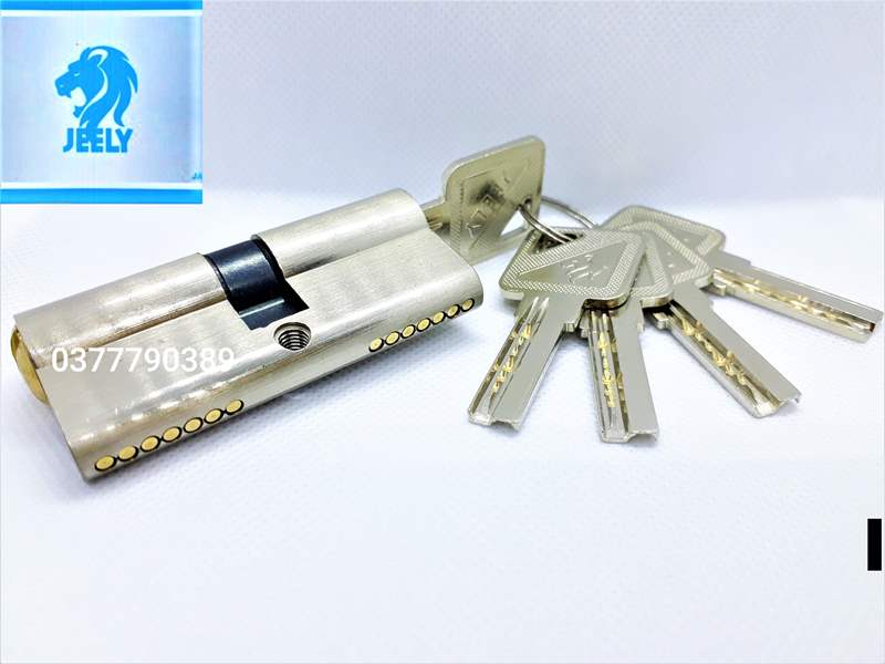 [HCM]ruột khóa tay gạt jeely