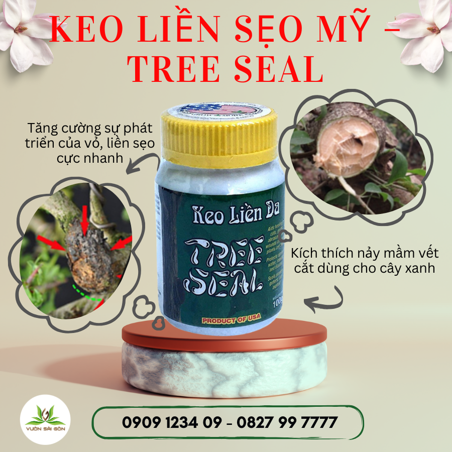 Keo liền da Tree seal - USA - giúp cây mau liền da, keo màu đen mau khô