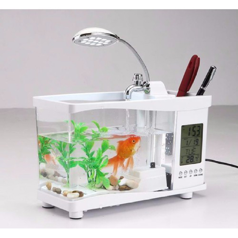Bể cá mini để bàn - đa chức năng, hệ thống lọc nước cung cấp oxi, đo nhiệt độ, đèn chiếu sáng