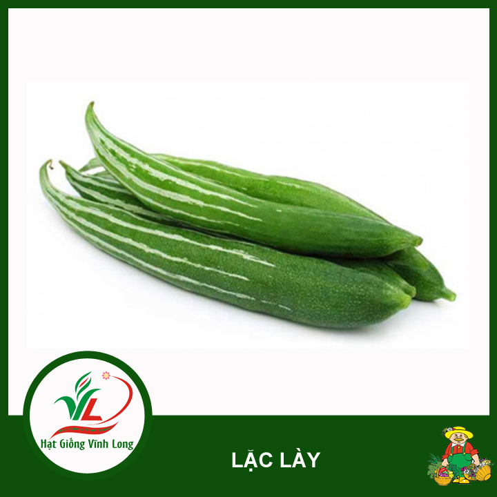 Hạt giống Lặc lày RD 248 - 2g