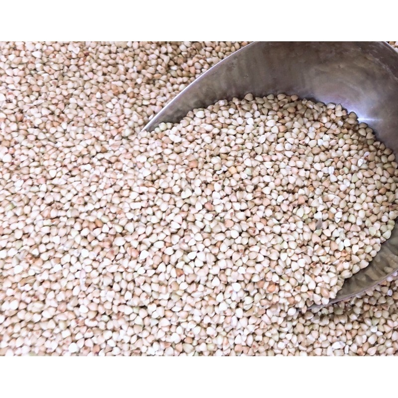 500G HẠT BA KHÍA (Hạt kiều mạch) ĐÃ TÁCH VỎ