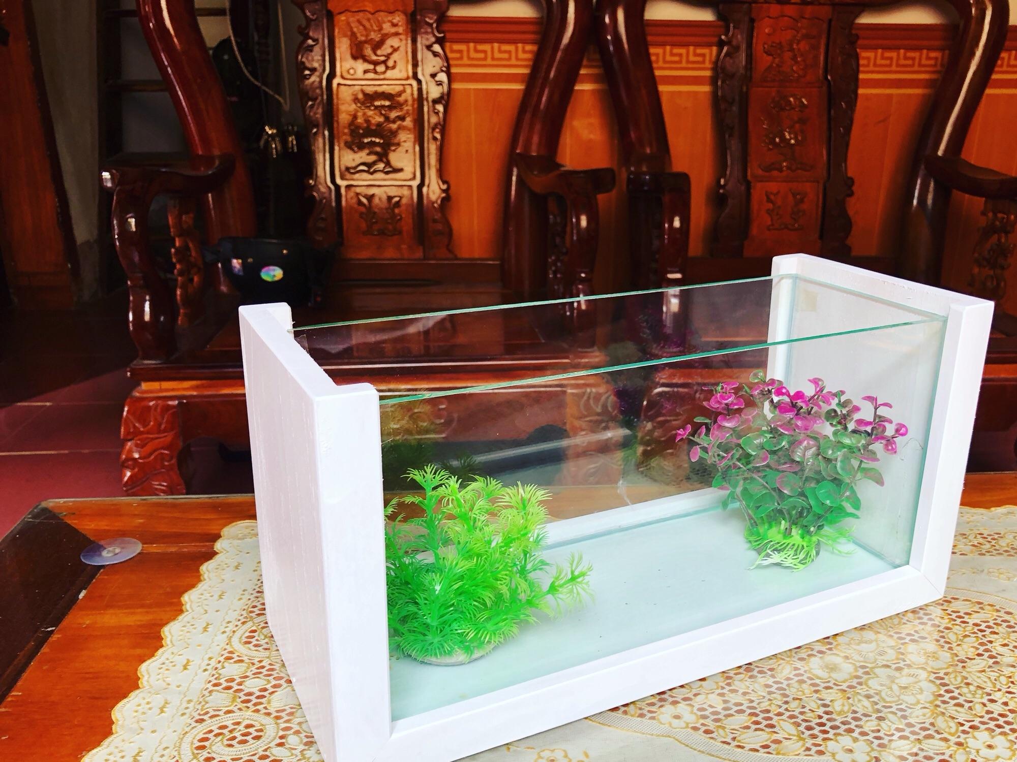 Bể mini khung gỗ cỡ lớn