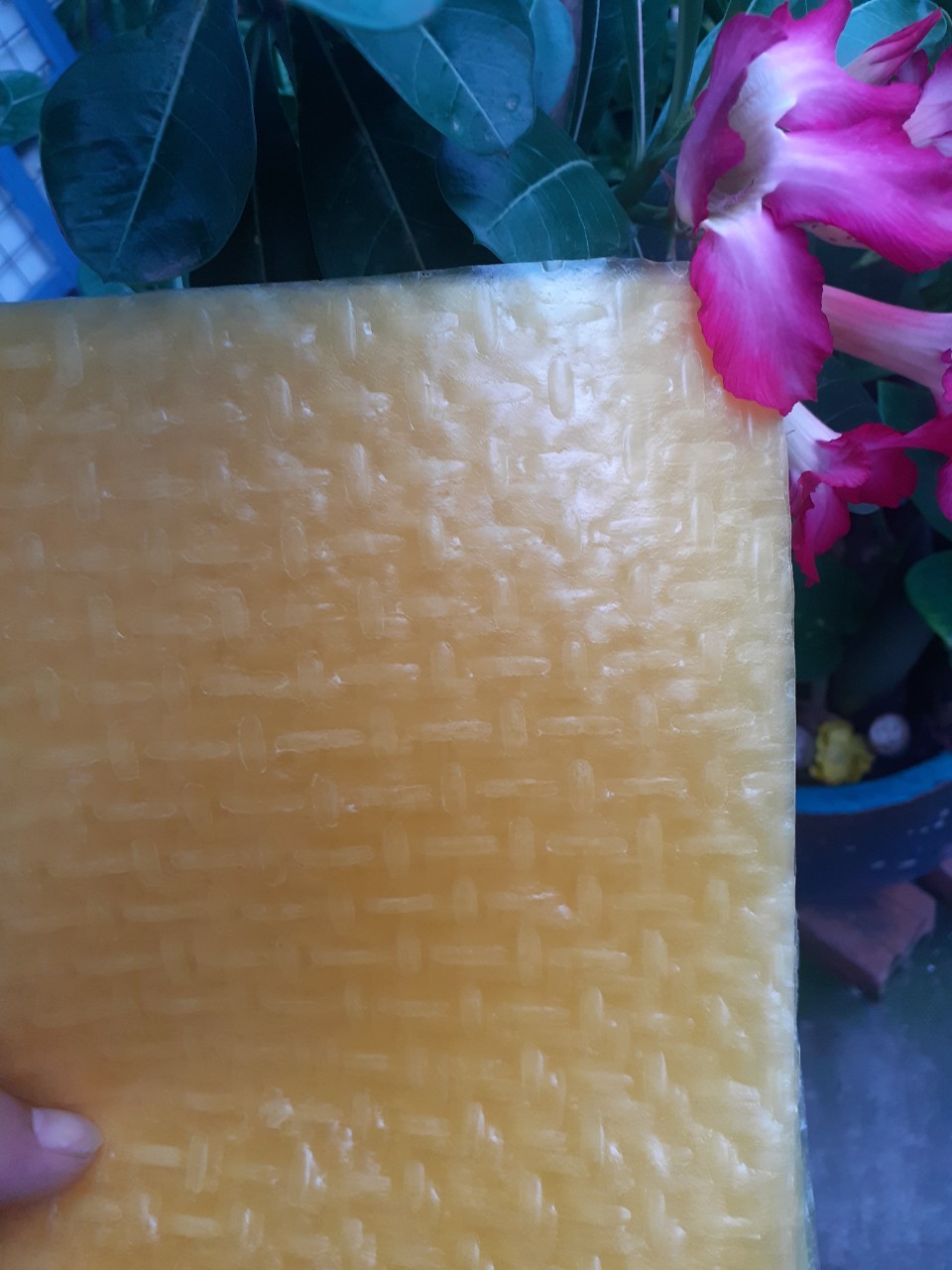 [500G]- Bánh Tráng Dưa Hấu Vàng Quỳnh Anh