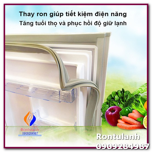 Ron cửa cho tủ lạnh Aqua Model AQR-I227BN