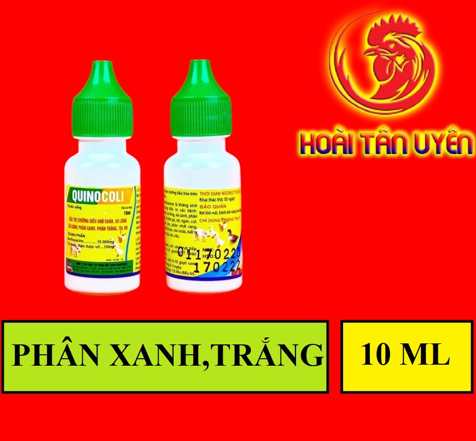 QUINOCOLI phân xanh, phân trắng cho gà đá 10ml