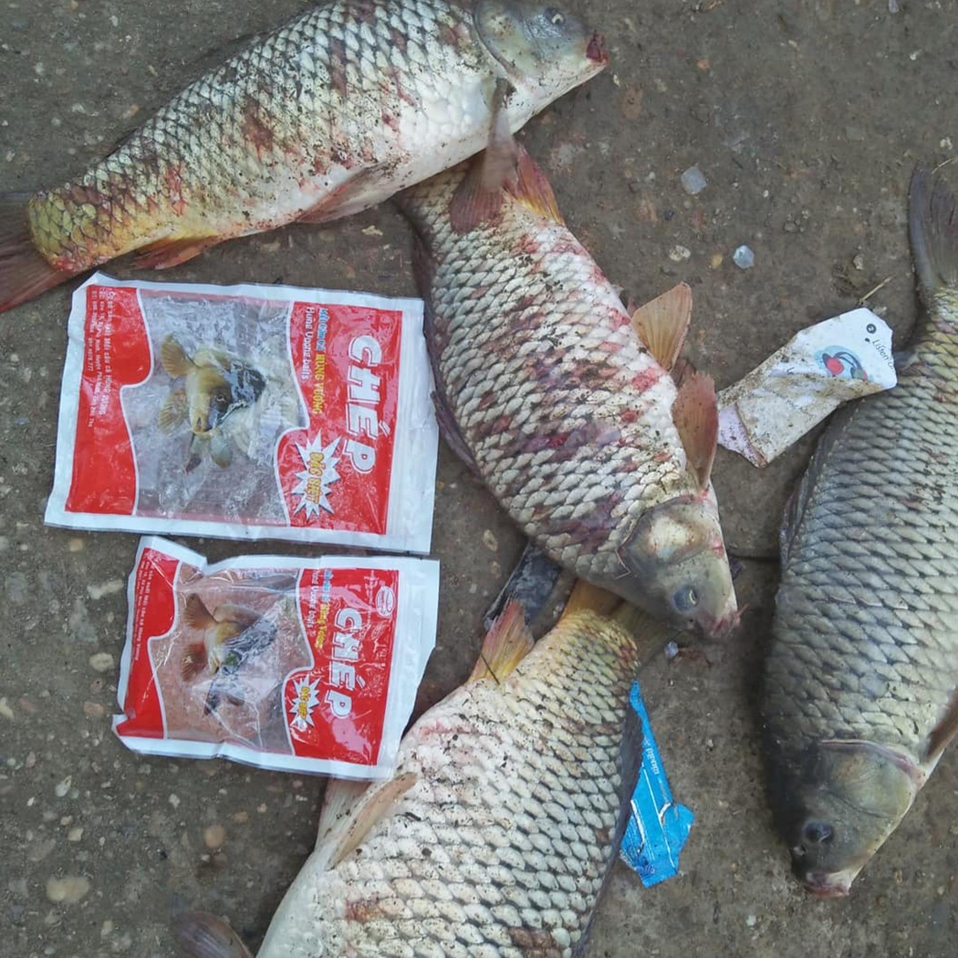 Mồi câu cá Chép (200g ) - Mồi câu cá Hùng Vương
