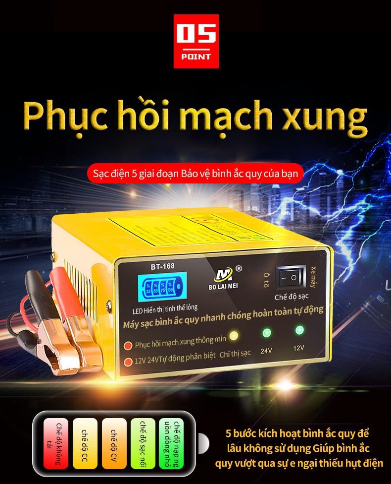 Ắc quy sạc tự động xung đồng 12V 24V