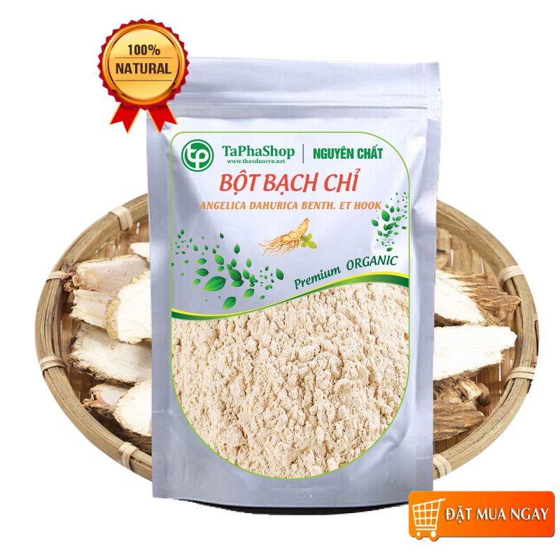 Bột bạch chỉ nguyên chất 100g - tấn phát