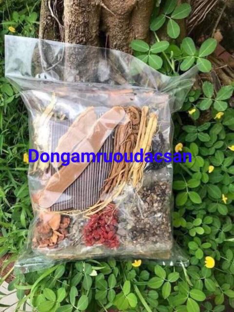 Amacong thang 1.2kg Tây Nguyên