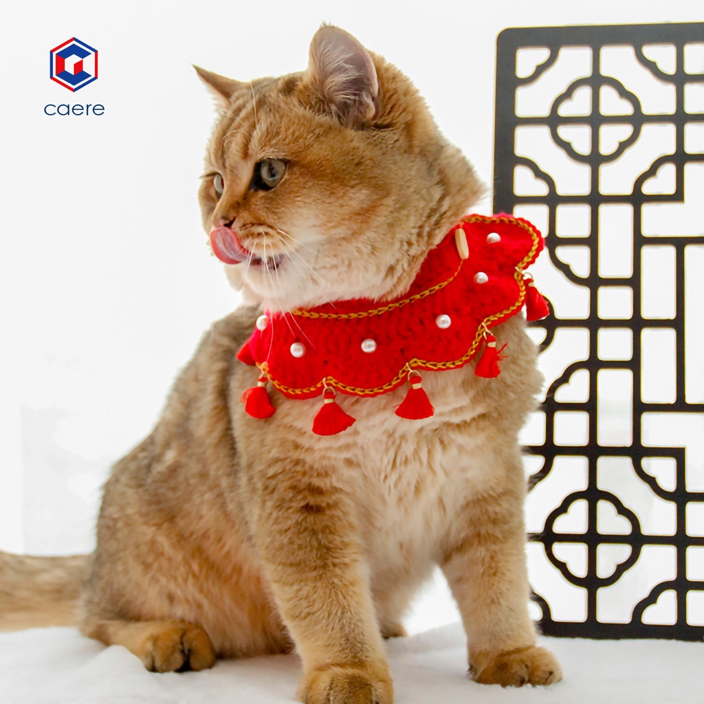 Vòng đeo cổ giữ ấm cho thú cưng