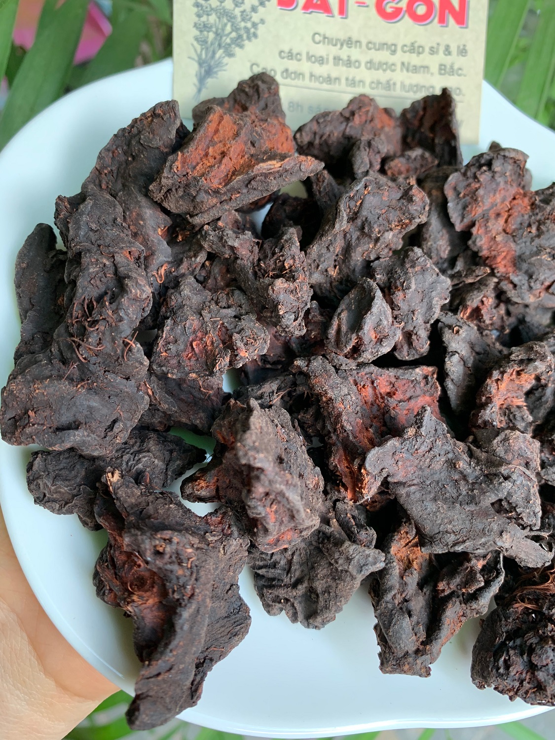 [HCM]Hà Thủ Ô Ông Tiên 100gram