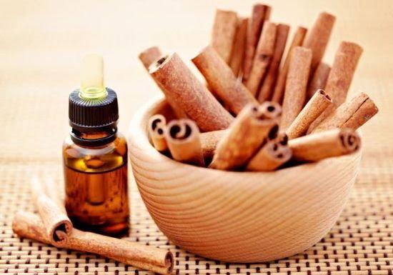 Tinh dầu Quế nguyên chất lọ 10ml