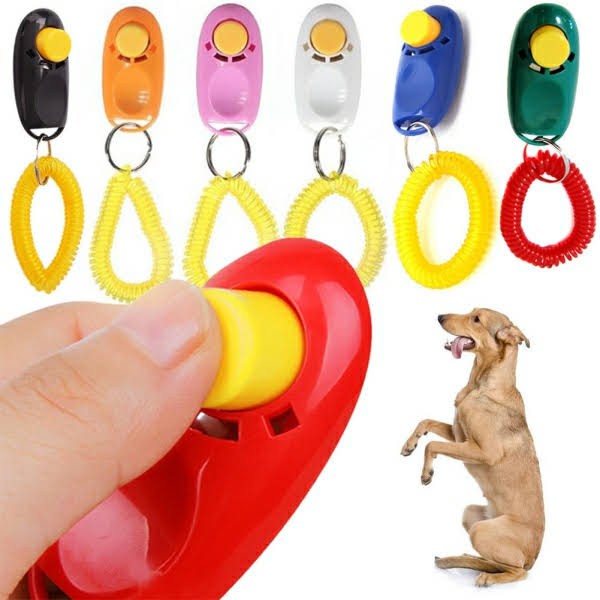 Clicker huấn luyện chó