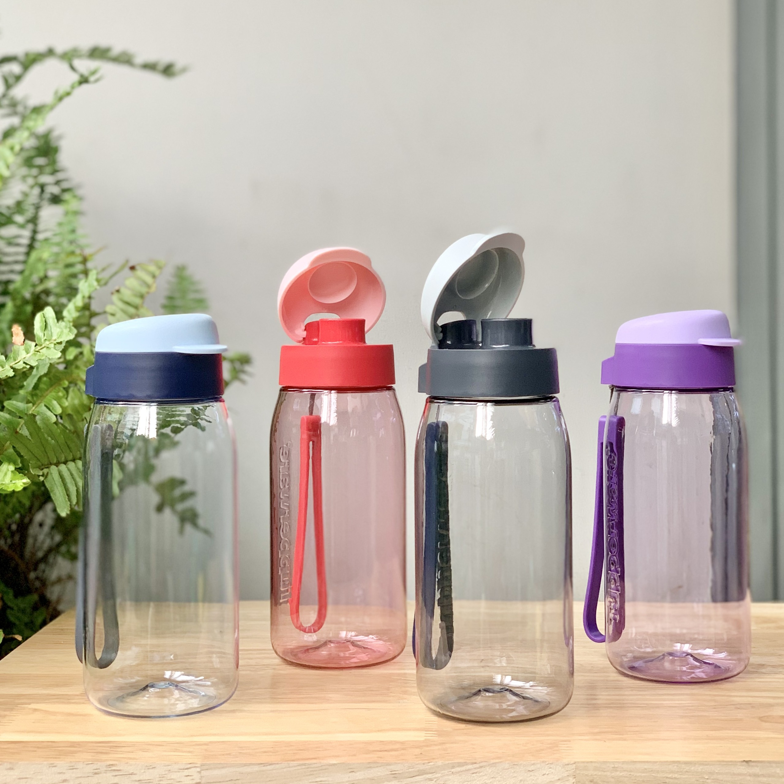 Bình nước LOHAS FLASK 550ml