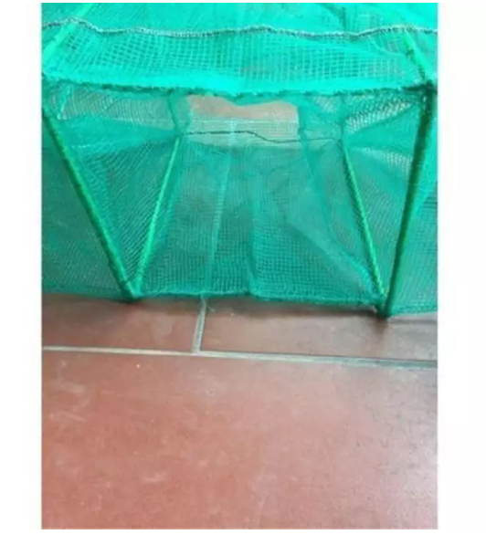 Lưới Lồng Bát Quái Đánh bắt cá - lồng bát quái xăm, chã  (cam kết đổi trả trong 2 tuần đầu)