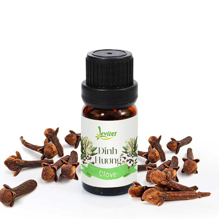 Leviter - Tinh dầu Đinh hương 10ml