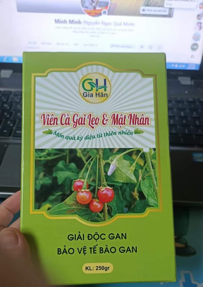 Viên Cà Gai Leo Mật Nhân 250 gam
