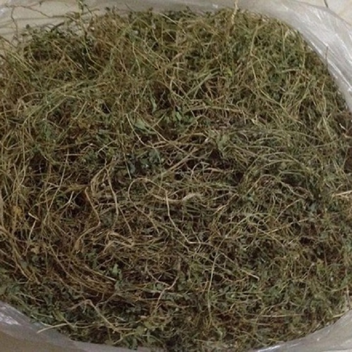 Dây - lá khổ qua rừng khô 500g