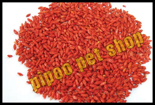 Kỉ tử - Thức ăn dặm cho Hamster và thú nhỏ