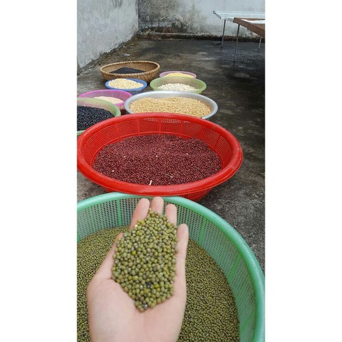 1kg Đậu Xanh Quê Nguyên Hạt .