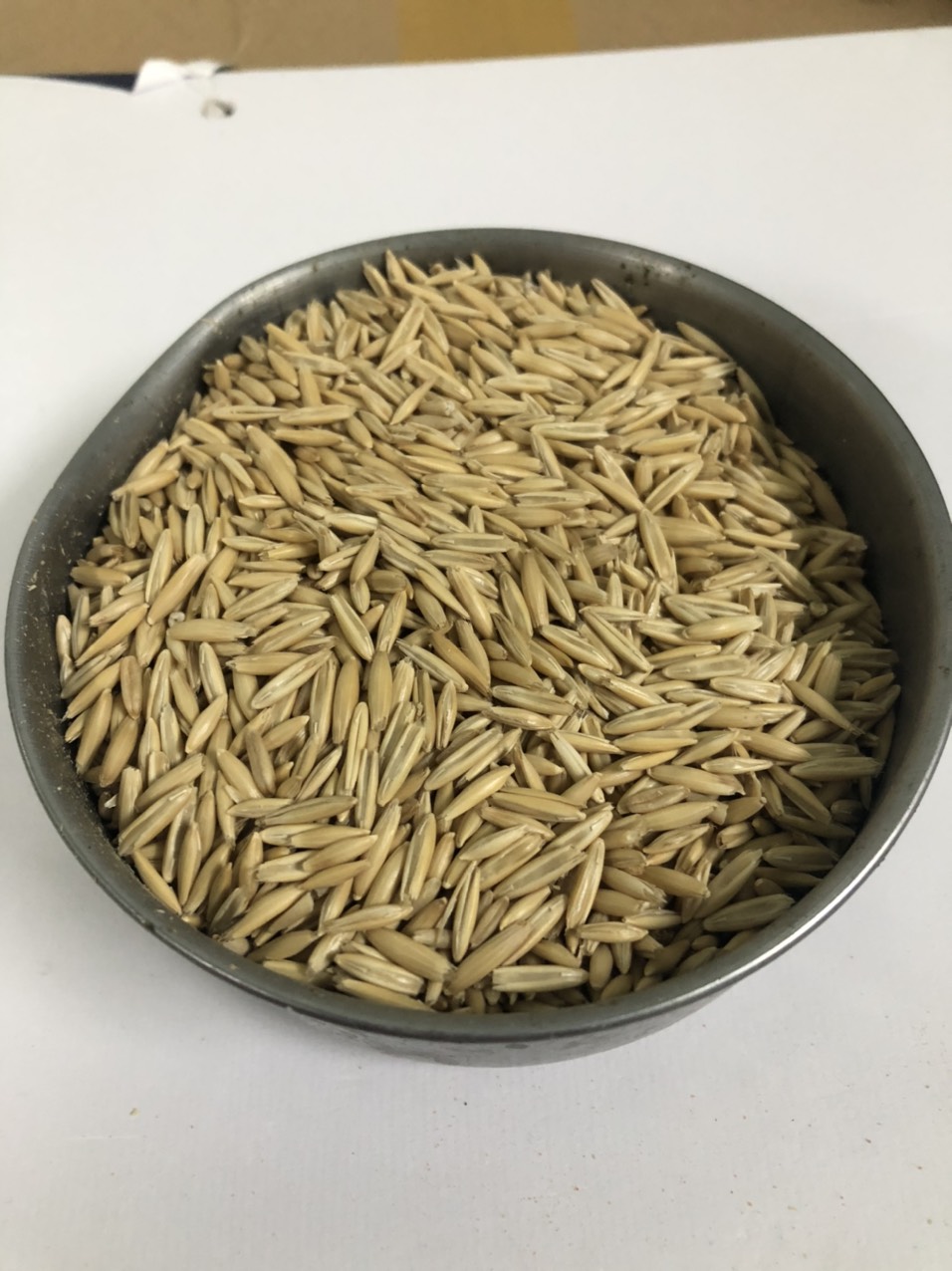 500g Hạt yến mạch cho gà, vẹt, hamster, sóc