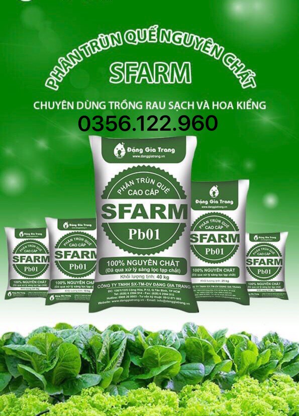 [Ảnh thật] Phân trùn quế nguyên chất Sfarm Pb01 2kg - phân chuyên dùng cho hoa cây cảnh, rau sạch
