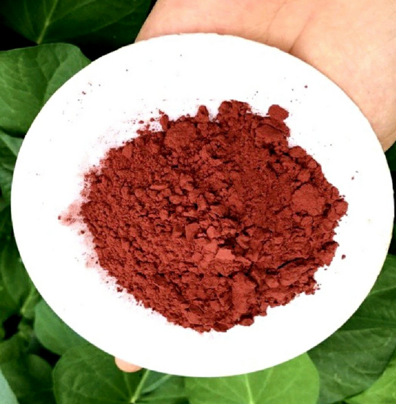 Bột dâu tây 20g