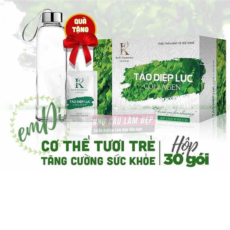 Tảo Diệp Lục Collagen Kyo Chính Hãng