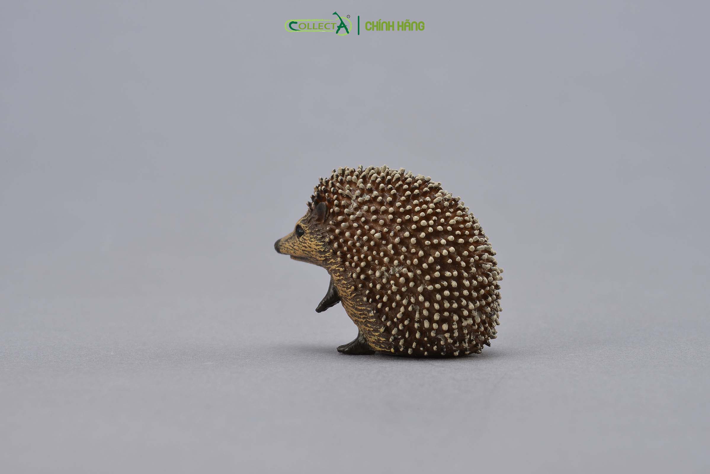 Đồ chơi mô hình động vật CollectA Nhím