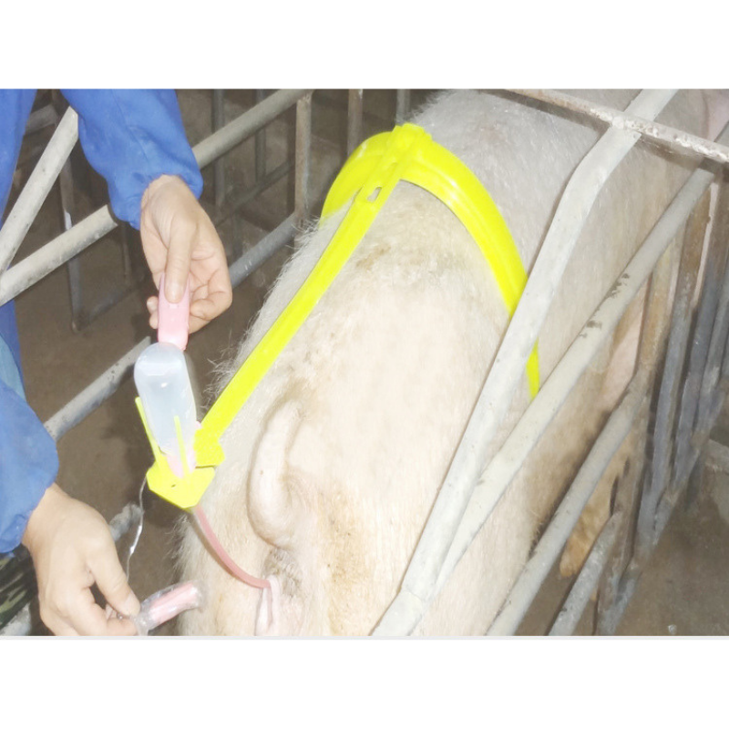 Giá đỡ thụ tinh cho heo phói tinh lợn