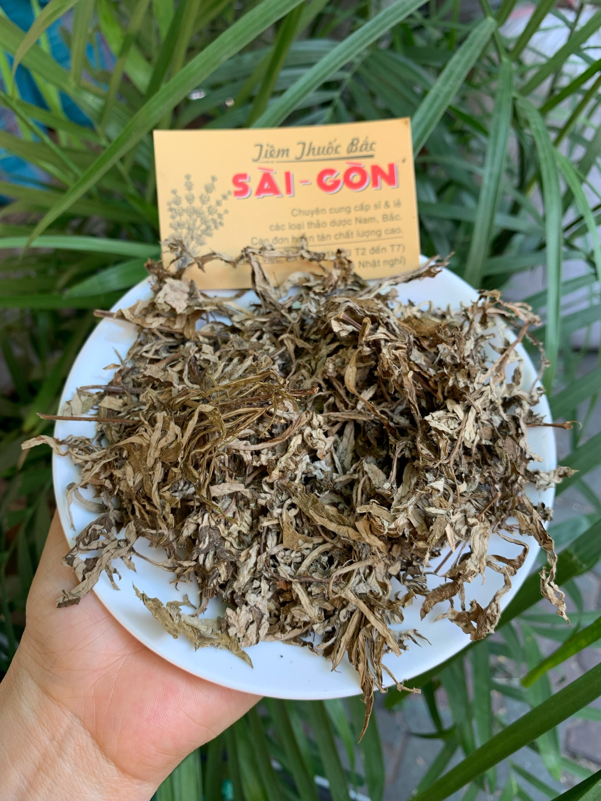 Lá ngãi cứu khô 100gram