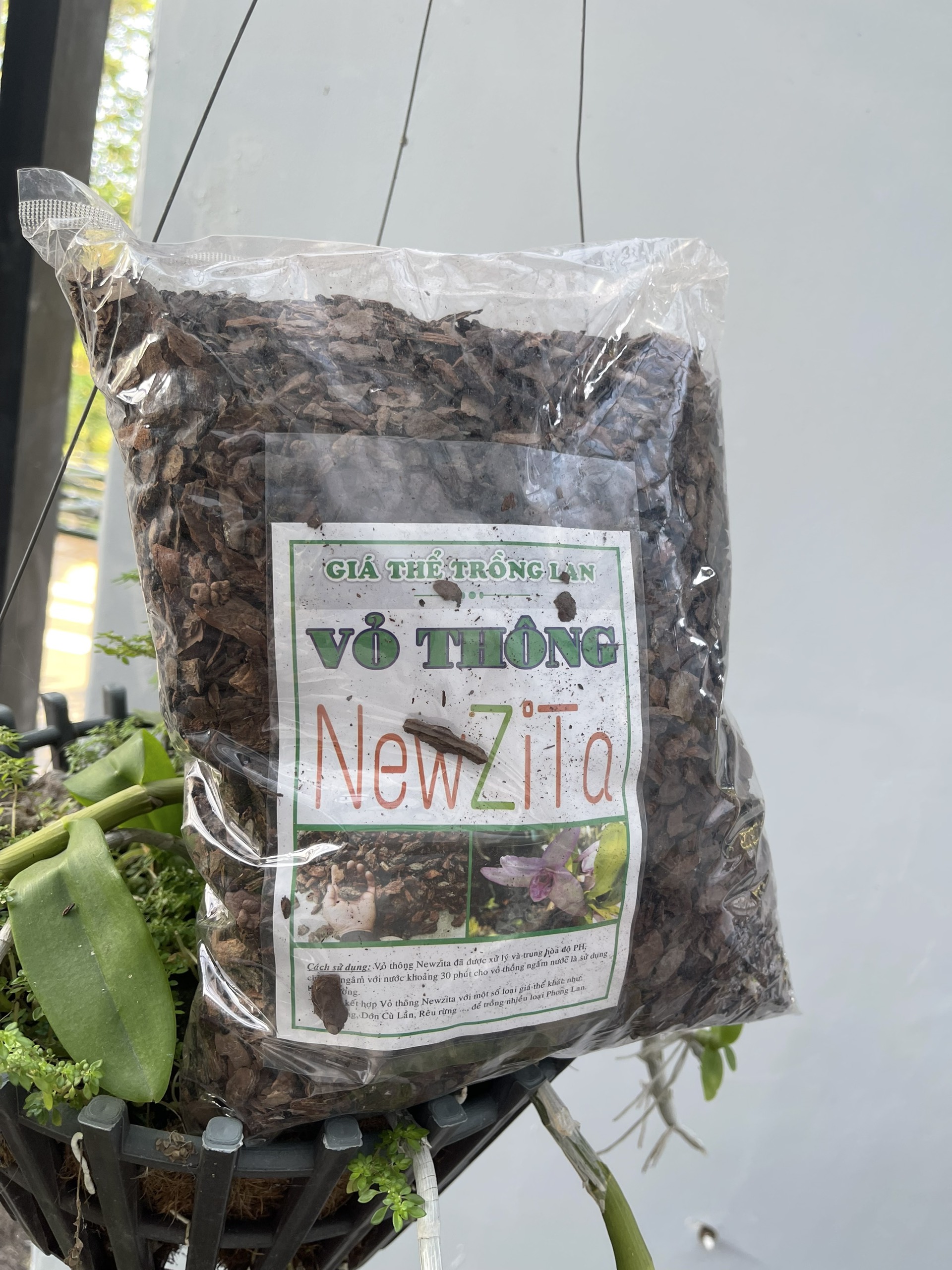 Vỏ thông giá thể chuyên trồng lan