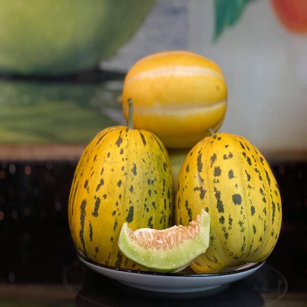 Hạt giống dưa lê hổ nhập khẩu