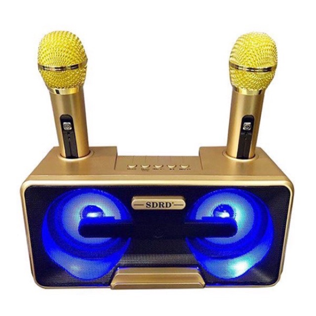 LOA KARAOKE SDRD SD-301 KÈM 2 MIC KHÔNG DÂY