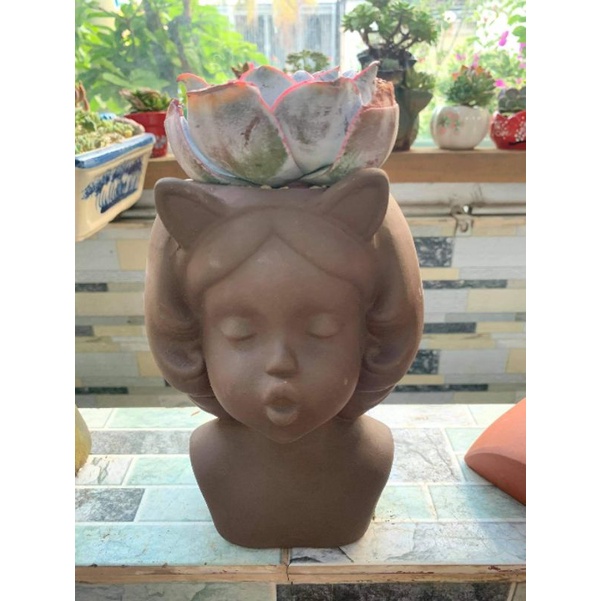 Chậu đất nung hình bé tai mèo