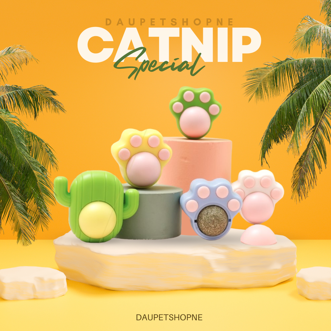 Catnip dán tường - Cỏ bạc hà cho mèo
