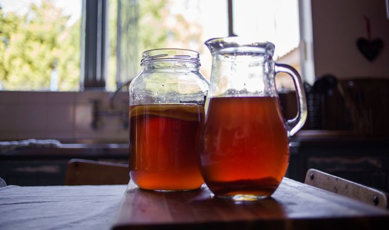 Nước mồi làm Kombucha 500ml (không kèm bình)