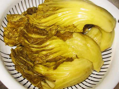 Hạt giống Cải Muối Dưa (Cải Tòa Sại) 20gr