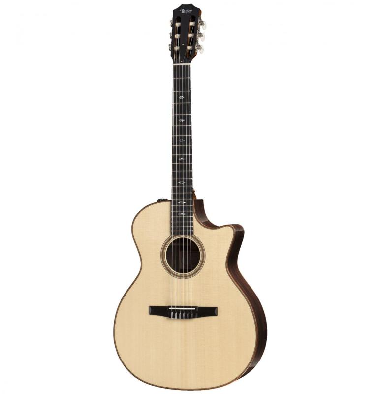 Đàn Guitar Taylor F4190C
