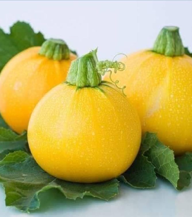 Hạt Giống Bí Ngòi Tròn Vàng - 2gram (15 Hạt )