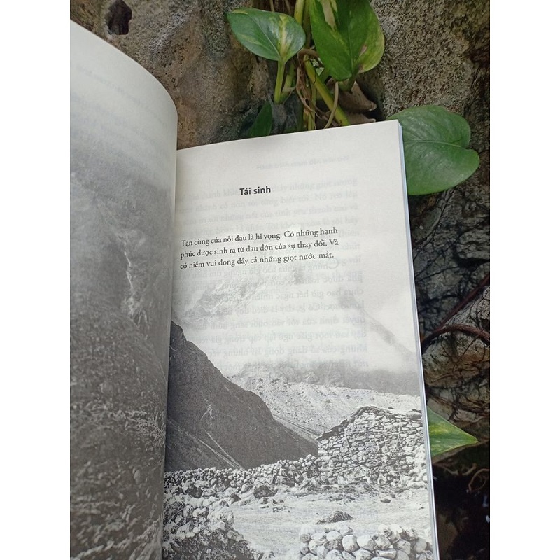 Sách - HIMALAYA: Hành Trình Chạm Đến Trán Trời