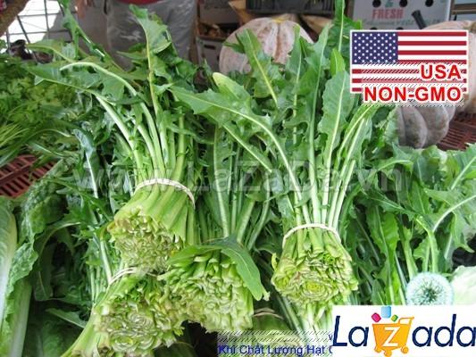 100h Hạt Giống Bồ Công Anh ITALIAN (A2.401| C11*V32*M220)