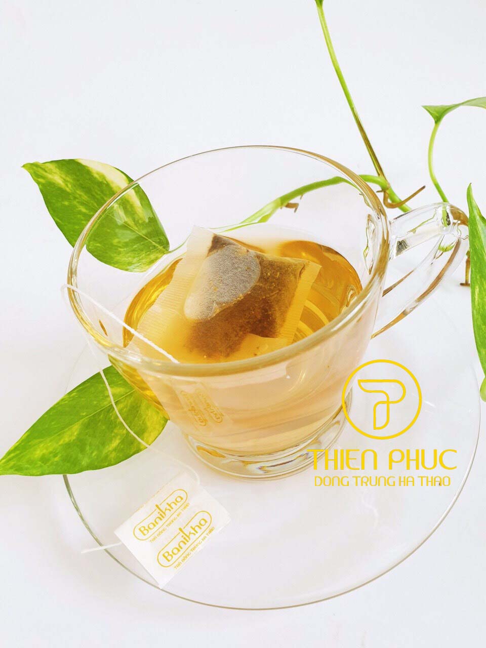 Trà Đông Trùng Hạ Thảo Banikha Thiên Phúc
