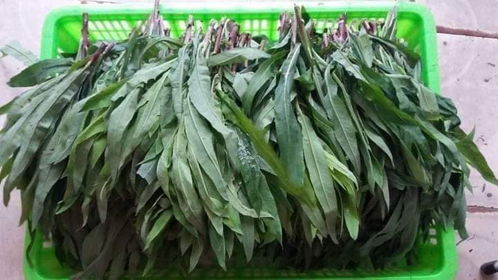 1KG BỒ CÔNG ANH