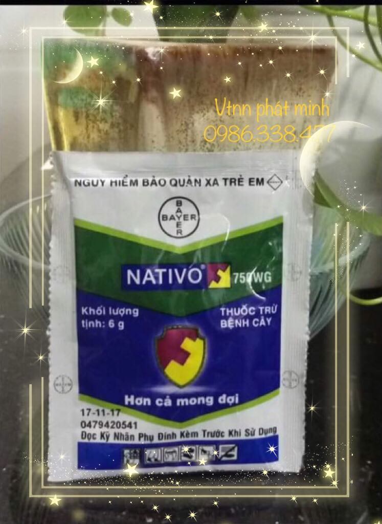 Thuốc trừ bệnh NATIVO 750WG (6g)
