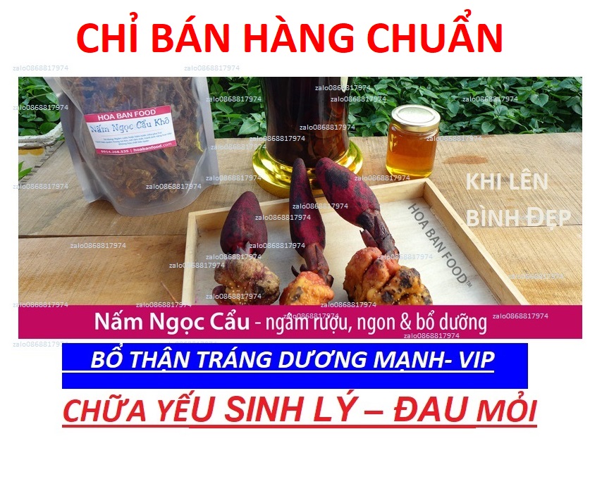3kg vip NẤM NGỌC CẨU TUYẾT SƠN+KHẮC PHỤC-SINH_LÍ+BỔ THẬN TRÁNG DƯƠNG+TRÁNG ÂM NAM+NỮ_TĂNG TRÍ-NHỚ-BỒI BỔ-SỨC KHỎE NNCK 1.5
