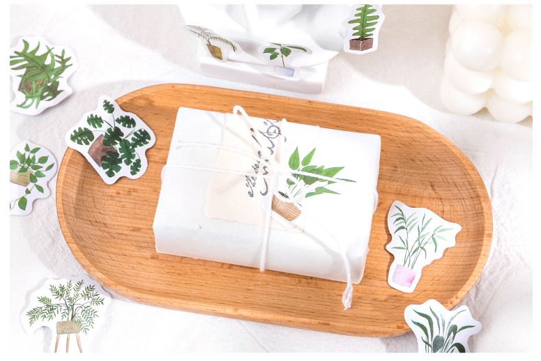 Bộ 45 Sticker Cây Cảnh E116